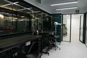 UpDog Peluqueria canina Pozuelo